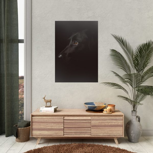 92411-213.jpg Black Labrador Retriever Dog Poster