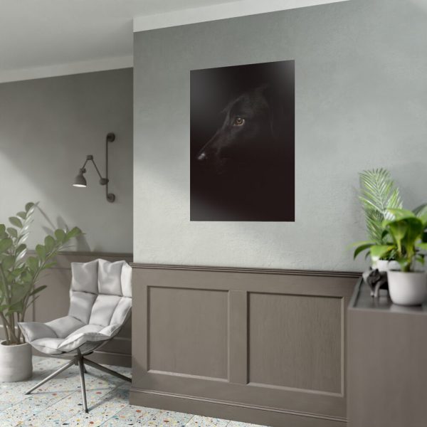 92411-214.jpg Black Labrador Retriever Dog Poster