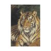 92411-215.jpg Tiger by Vastagh Géza Poster