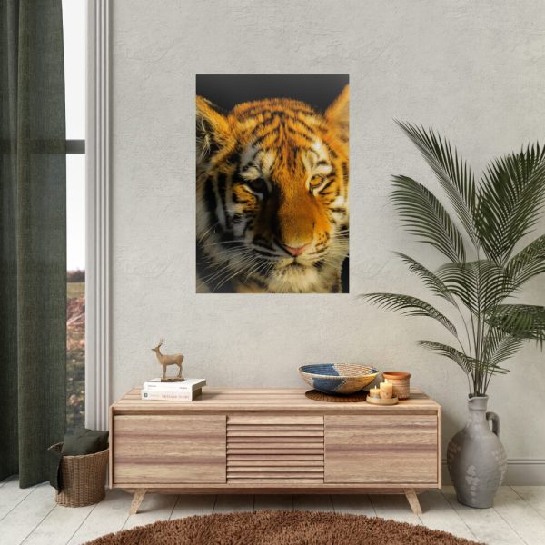 Tiger Look Poster