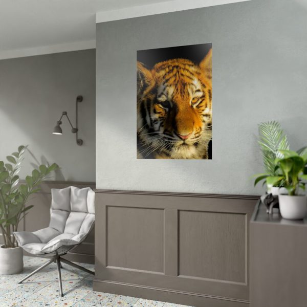 Tiger Look Poster