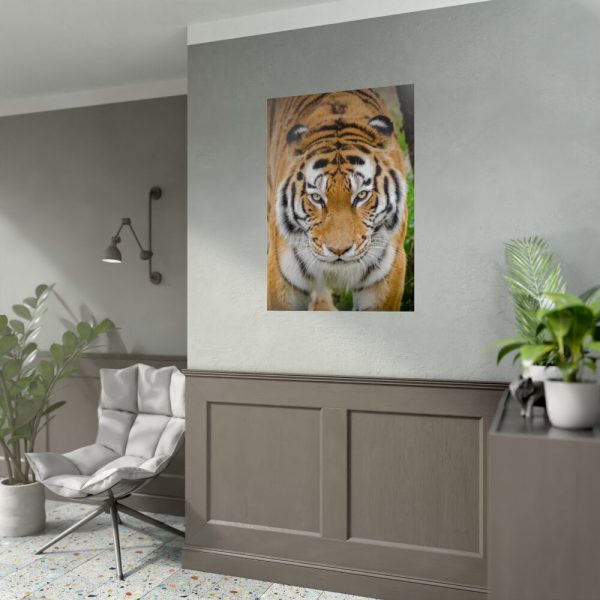 Siberian Tiger Poster
