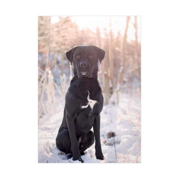 92411-254.jpg Black Dog Sitting on Snow Poster