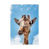 92411-272.jpg An Up-Close Look at a Giraffe at the Gladys Porter Zoo Poster