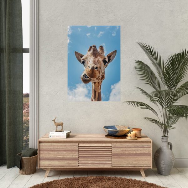 92411-273.jpg An Up-Close Look at a Giraffe at the Gladys Porter Zoo Poster