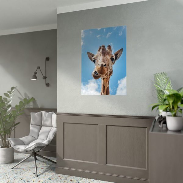92411-274.jpg An Up-Close Look at a Giraffe at the Gladys Porter Zoo Poster