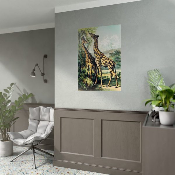 92411-292.jpg Giraffe from Johnson's Household Book of Nature by John Karst Poster
