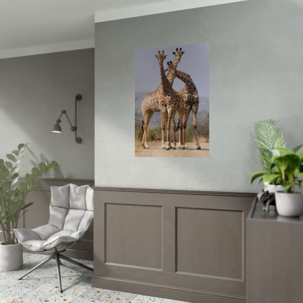 92411-298.jpg Giraffe Family Poster