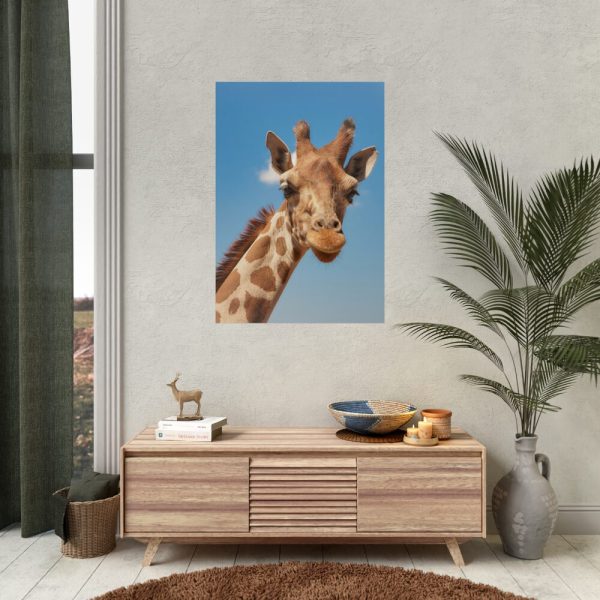 92411-309.jpg Giraffe Cameloparadalis Fauna Poster