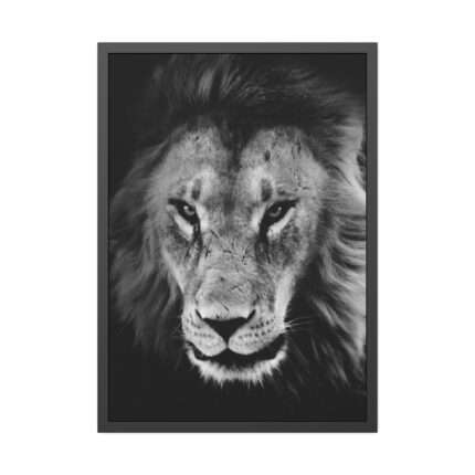 Lions in the Grass Framed Poster