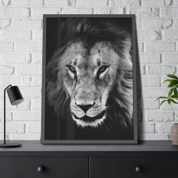 Lions in the Grass Framed Poster