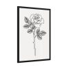93830-253.jpg Rose Illustration Framed Poster