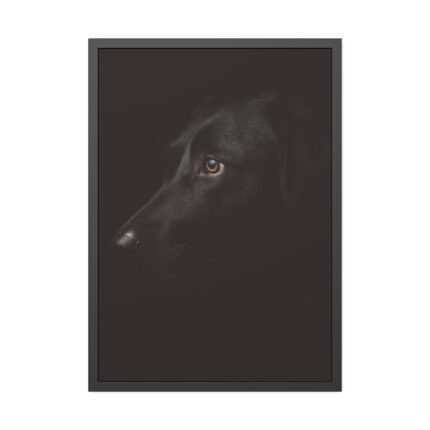 Black Labrador Retriever Dog Framed Poster