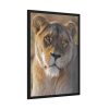 Female Lion Closeup Framed Poster