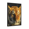 Tiger Look Framed Poster