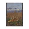 93830-308.jpg A Tiger Among Rushes In The Moonlight Framed Poster