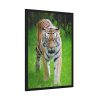 93830-329.jpg Grumpy Tiger Walking Framed Poster
