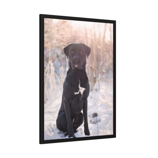 93830-333.jpg Black Dog Sitting on Snow Framed Poster