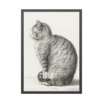 Sitting cat by Jean Bernard  Framed Poster