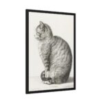 Sitting cat by Jean Bernard  Framed Poster - Image 2