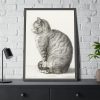 Sitting cat by Jean Bernard  Framed Poster