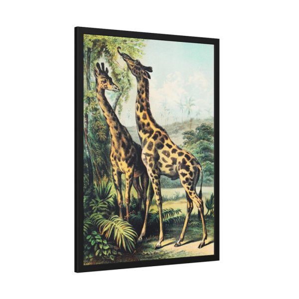 93830-381.jpg Giraffe from Johnson's Household Book of Nature by John Karst Framed Poster