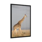 Giraffe in the Nature Framed Poster - Image 2