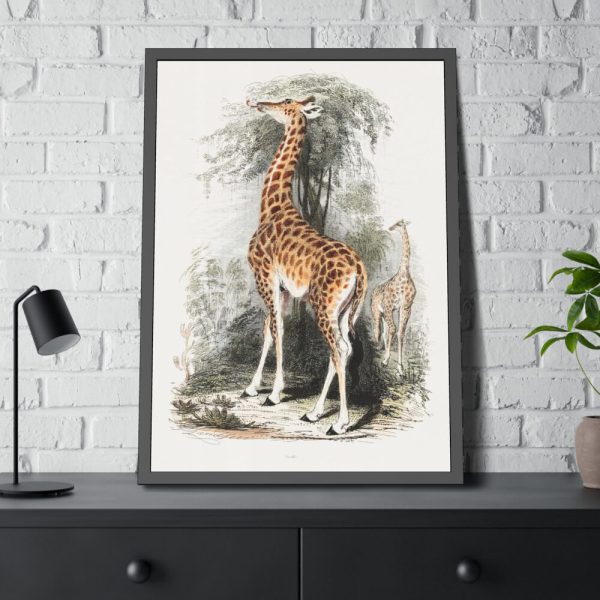 93830-395.jpg Vintage Illustration by Georges Cuvier Framed Poster