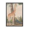 93830-396.jpg Study of the Giraffe by Nicolas Hüet Framed Poster