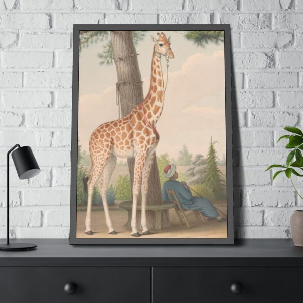 93830-399.jpg Study of the Giraffe by Nicolas Hüet Framed Poster