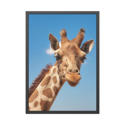 Giraffe Cameloparadalis Fauna Framed Poster