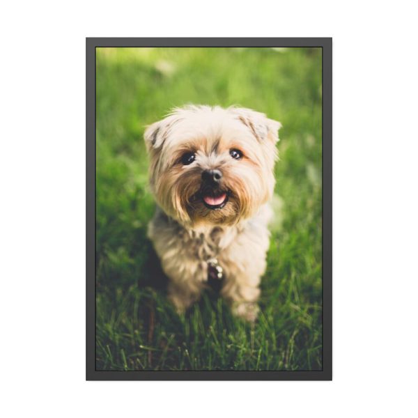 93830-52.jpg Little Puppy on the Grass Framed Poster