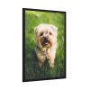 93830-53.jpg Little Puppy on the Grass Framed Poster