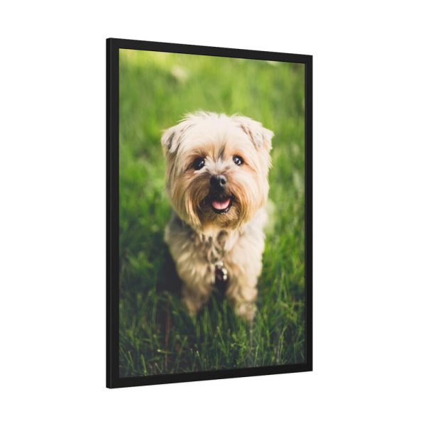 93830-53.jpg Little Puppy on the Grass Framed Poster