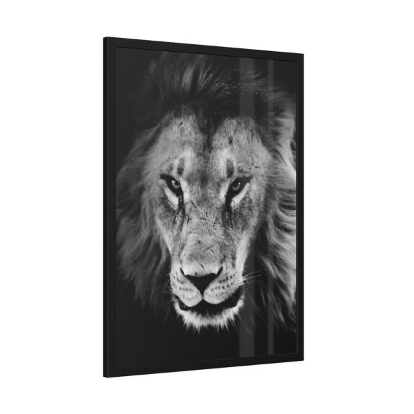 Lions in the Grass Framed Poster