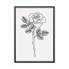 93831-252.jpg Rose Illustration Framed Poster