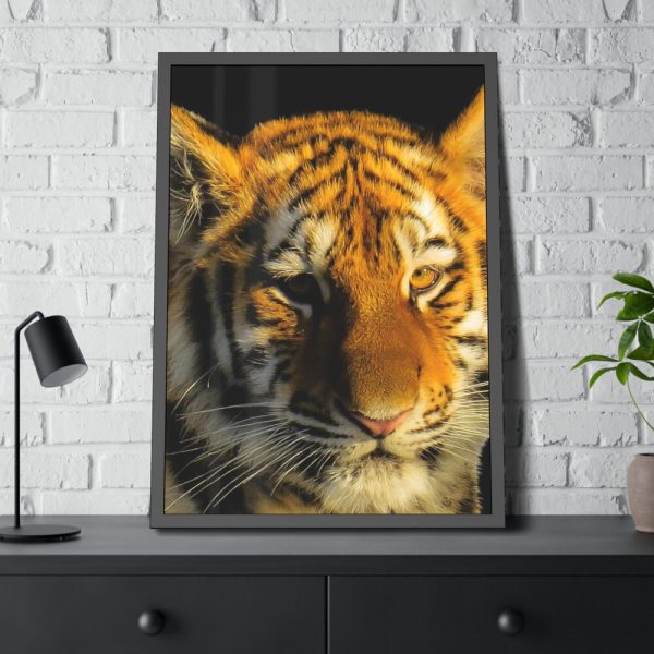 Tiger Look Framed Poster