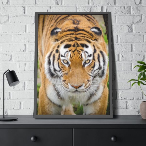 93831-315.jpg Siberian Tiger Framed Poster