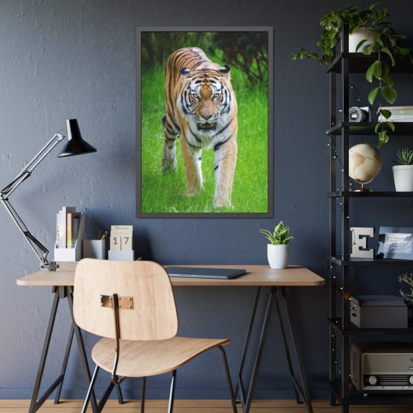 93831-330.jpg Grumpy Tiger Walking Framed Poster