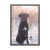 93831-332.jpg Black Dog Sitting on Snow Framed Poster
