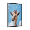 93831-357.jpg An Up-Close Look at a Giraffe at the Gladys Porter Zoo Framed Poster