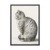 Sitting cat by Jean Bernard  Framed Poster