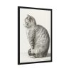 Sitting cat by Jean Bernard  Framed Poster