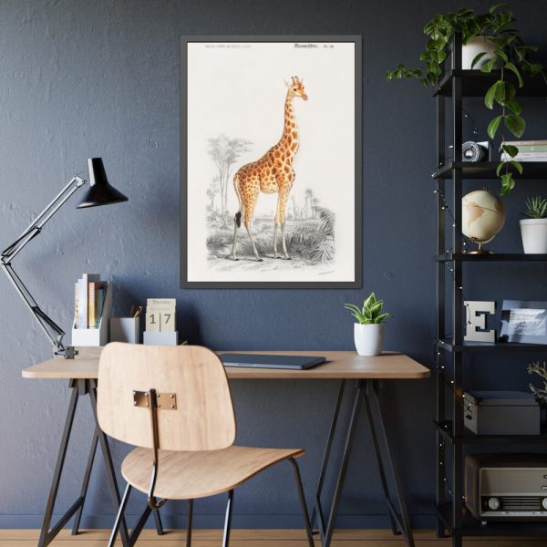 Giraffe (Giraffa Camelopardalis) Framed Poster