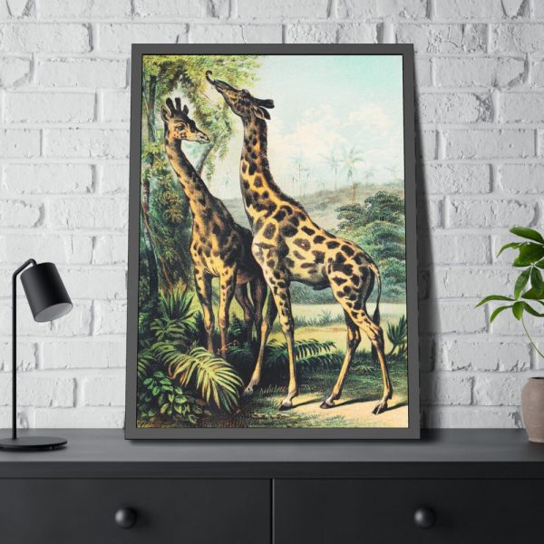 93831-383.jpg Giraffe from Johnson's Household Book of Nature by John Karst Framed Poster