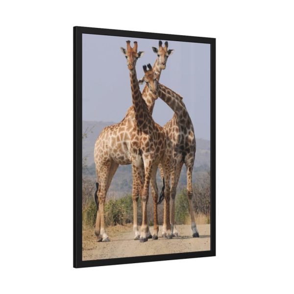 Giraffe Family Framed Poster
