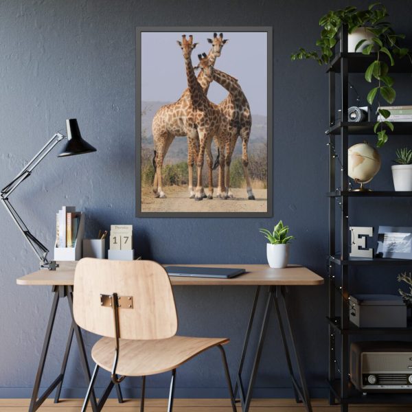 Giraffe Family Framed Poster