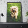 93831-55.jpg Little Puppy on the Grass Framed Poster