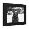 93836-13.jpg Puka the Chocolate Lab by Carol M. Highsmith Framed Poster
