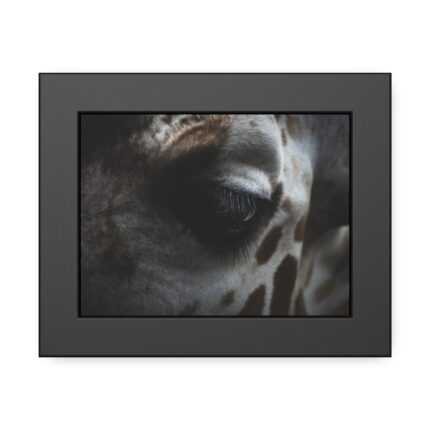 Giraffe Black Eye Framed Poster